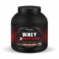 WHEY ENPOWER - Whey Protein Tozu 2300 gr Çikolata